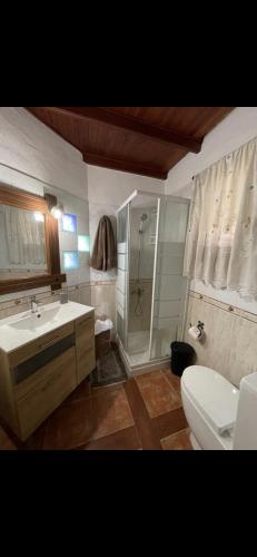 a bathroom with a sink and a shower and a toilet at Casa colon in Los Silos
