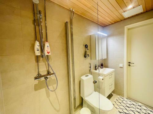 a bathroom with a shower and a toilet and a sink at Cityhome Kaarto in Rovaniemi