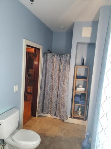 a bathroom with a toilet and a shower curtain at Firehouse Inn in Barre