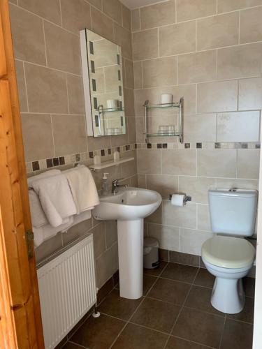 a bathroom with a toilet and a sink at Quay House in Wexford