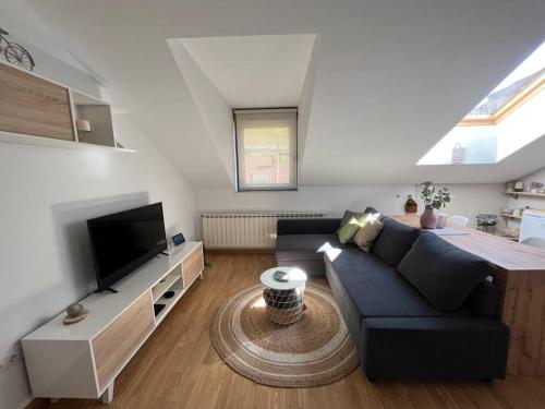 Μια τηλεόραση ή/και κέντρο ψυχαγωγίας στο Apartamento El Picu