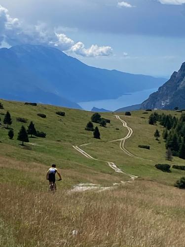 un homme marchant sur une colline herbeuse avec une route sinueuse dans l'établissement Pedegagia, à Vezzano