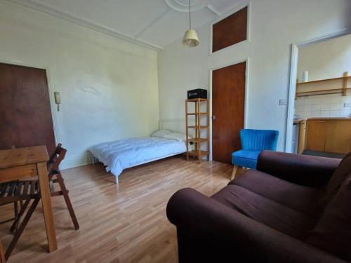 een woonkamer met een bed en een bank bij Bright well located studio flat in Londen