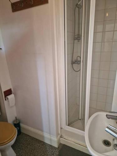 a bathroom with a shower and a toilet and a sink at Bright well located studio flat in London