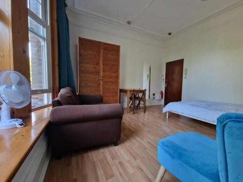 a living room with a couch and a bed at Bright well located studio flat in London
