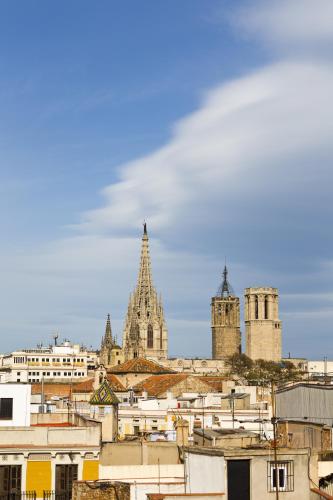 Rambla 102 photo 41