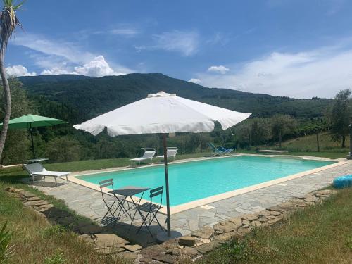 una sombrilla blanca y sillas junto a la piscina en Spacious room "Ragusana" for 2 guests & child, en Donnini