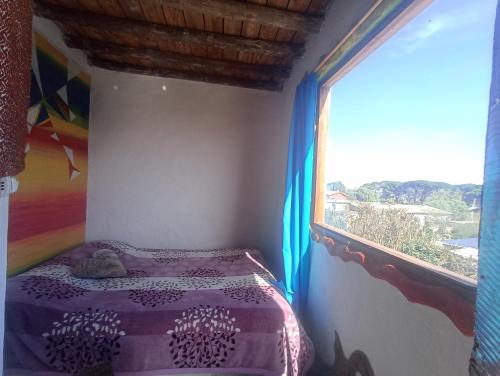 a bedroom with a purple bed and a window at Hostel Morgan in Piriápolis
