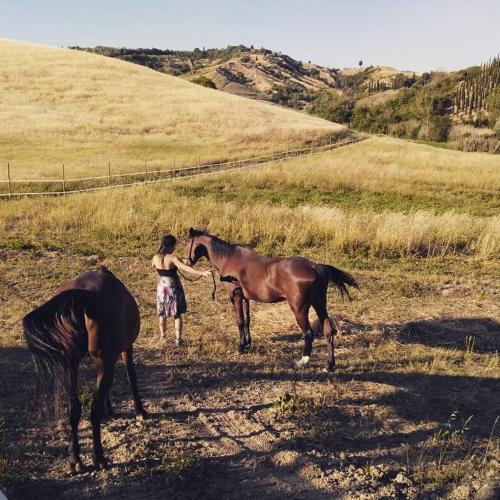 a woman standing next to two horses in a field at Casa vacanze Santa Maria in Certaldo