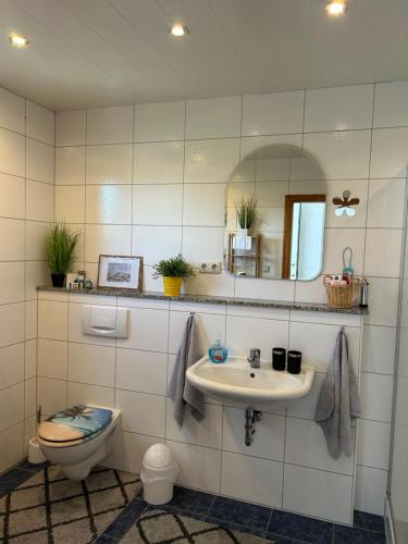 een badkamer met een wastafel, een toilet en een spiegel bij An den Weinbergen in Güntersleben