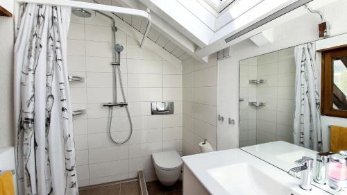 a bathroom with a shower and a toilet and a sink at Luxuriöse Villa Romantica in Gampel