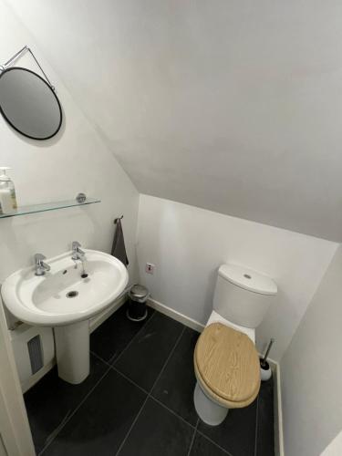 een badkamer met een wastafel, een toilet en een spiegel bij Meadow View @ Glebe Barn in Pershore
