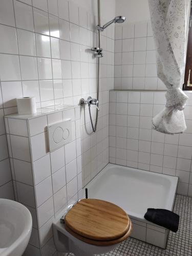 a bathroom with a toilet with a wooden toilet seat at Berggasthaus Präger Böden in Todtnau