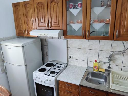 Η κουζίνα ή μικρή κουζίνα στο Apartman Novaković