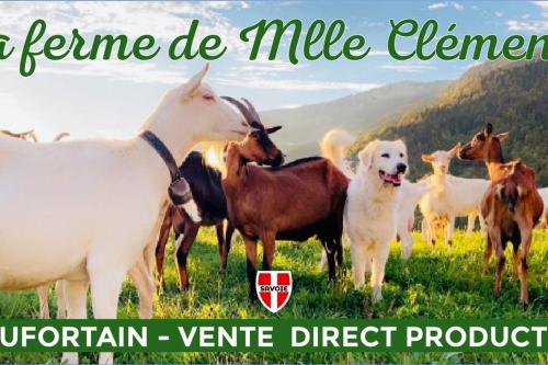 a group of horses and a dog in a field at Appartement en Montagne in Beaufort