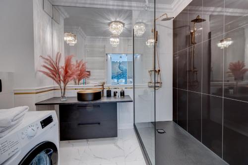 a bathroom with a shower and a washing machine at Jacuzzi EnergyApart in Szczecin