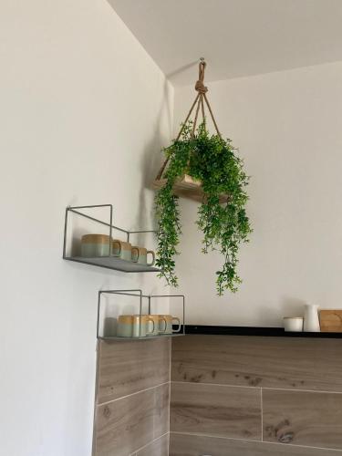 a room with a wooden cabinet with a hanging plant at L'angolo di Luna in Gorizia
