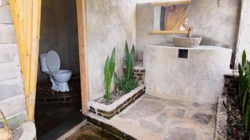 特特巴圖的住宿－New Rinjani Homestay，一间带卫生间和水槽的浴室