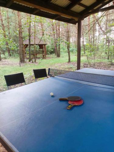 a blue ping pong table with a ball on it at Leśna Osada Szegdy in Szegdy