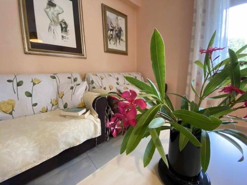 a living room with a couch and a potted plant at Taddore Green Lodge in Galtellì