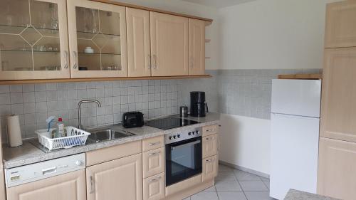 een keuken met een wastafel en een fornuis top oven bij Ferienwohnung Wippertal Biesenrode in Mansfeld