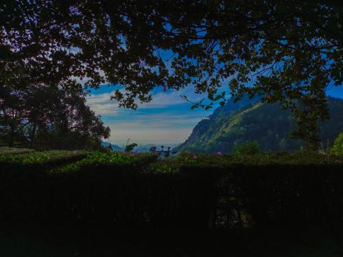 a view of a mountain from under a tree at Ella Happy View Homestay in Ella