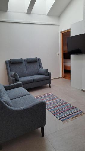 a living room with a couch and a tv at Haus am Park in Rasùn di Sotto