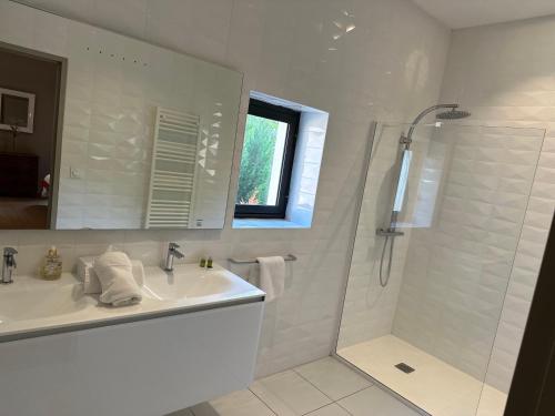 La salle de bains blanche est pourvue d'un lavabo et d'une douche. dans l'établissement Domaine du Prieuré d'Estagel, à Saint-Gilles