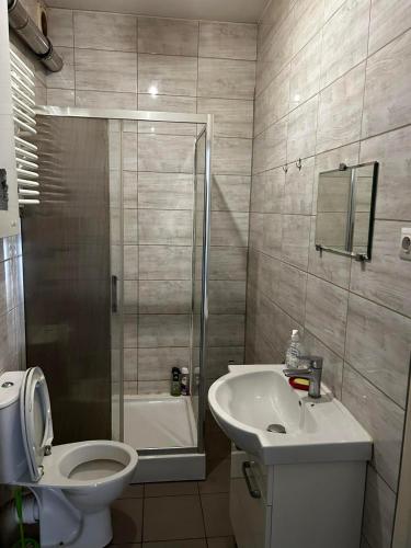 La salle de bains est pourvue de toilettes, d'un lavabo et d'une douche. dans l'établissement Hostel Łódźka 52, à Toruń