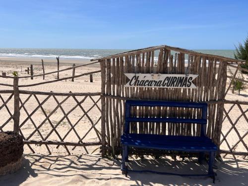 a blue bench sitting in front of the beach at Beira-mar Chácara Curimãs - Barroquinha, Ceará in Barroquinha
