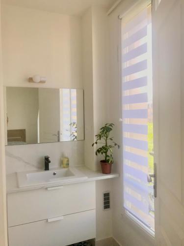 La salle de bains est pourvue d'un lavabo, d'un miroir et d'une plante. dans l'établissement Cozy Frenchy apartment nearby La Seine, à Paris