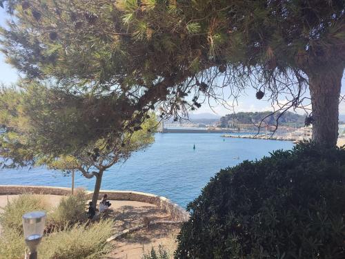 a view of a body of water with a tree at NICE ÉTOILE in Nice