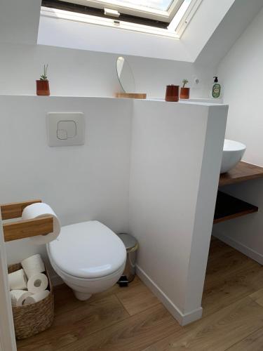 a bathroom with a white toilet and a sink at Les écuries du Nevez in Plonéour-Lanvern