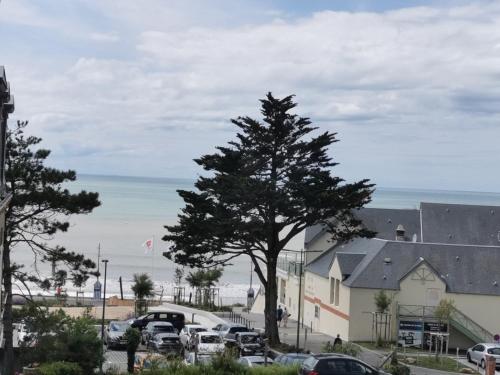 a tree in a parking lot next to a beach at Appartement "La Marine" vue mer in Saint-Pair-sur-Mer