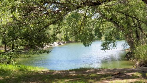 a view of a river under a tree at Luxuriöse Villa Romantica in Gampel