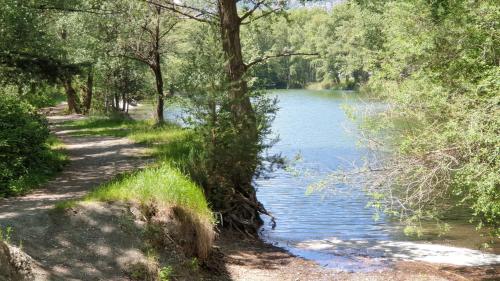 a path next to a river with trees at Luxuriöse Villa Romantica in Gampel