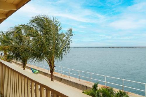 a balcony with a view of the water and palm trees at Oceanic Motel in Ocean City