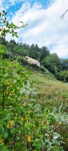 Una colina de hierba con un edificio encima. en Suite Etoile en Villa dʼAllegno