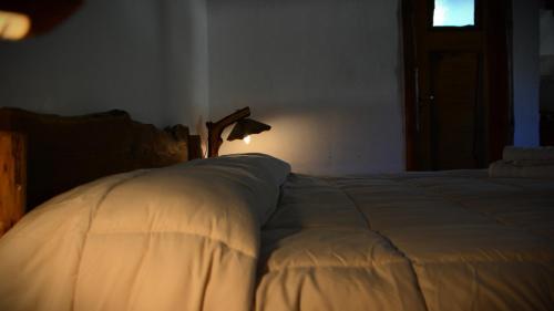 a bedroom with a bed with a lamp on it at Carü Leufu in Valle Grande
