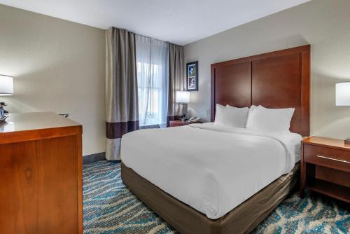 a large white bed in a hotel room at Comfort Inn Asheville East-Blue Ridge Pkwy Access in Asheville