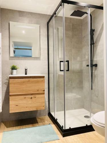 une salle de bain avec une douche, des toilettes et un lavabo dans l'établissement L'écrin de Chapoulier, à Montoison