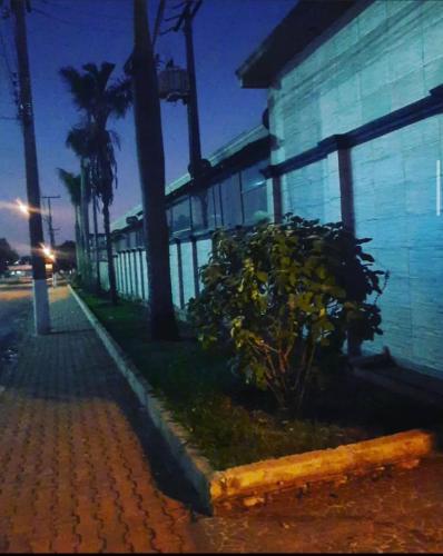 a bush in front of a building at night at Versatile Park Hotel in Ponta Porã