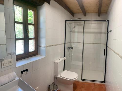 a bathroom with a toilet and a glass shower at IRATIKO KABIAK in Orbaiceta
