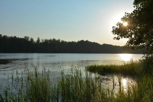 widok na jezioro ze słońcem świecącym na wodzie w obiekcie Domek Przy Lesie SPA w Szczecinku