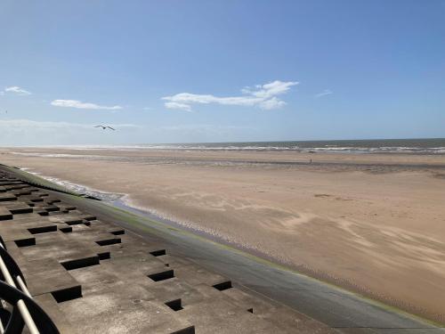 a view of a beach with a bird flying over it at Kimberley Holiday Apartments in Cleveleys