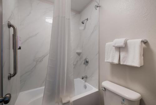 a white bathroom with a shower and a toilet at Red Roof Inn Chattanooga - Hamilton Place in Chattanooga