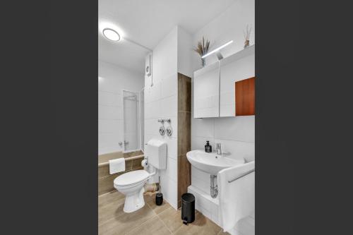 a white bathroom with a toilet and a sink at STANMA Luchspartment ruhig und zentral mit großem Balkon und Parkplatz in Braunlage