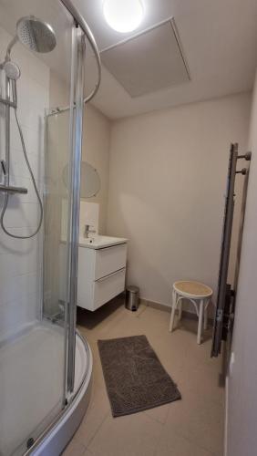 La salle de bains est pourvue d'une douche et d'un lavabo. dans l'établissement Appartement RDC à 2 pas de la Plage et des commerces de BERCK PLAGE, à Berck-sur-Mer