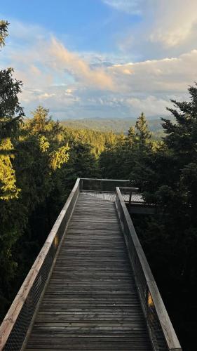 a wooden boardwalk in the middle of a forest at Apartmán Skis in Černá v Pošumaví