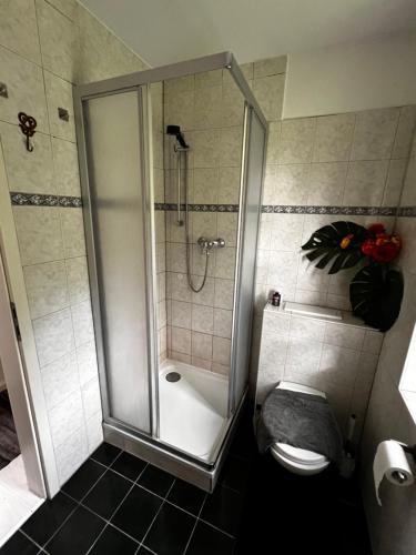 a bathroom with a shower with a toilet and a shower at Ferienwohnung Sonntag, Elsteraue in Elsteraue